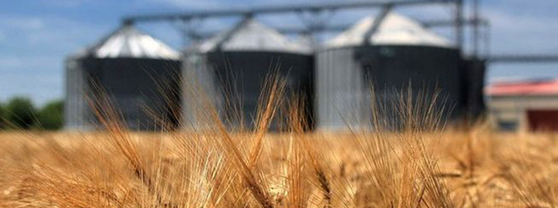 Требования к нержавейке для зернового элеваторного оборудования